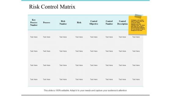 Risk Control Matrix Ppt PowerPoint Presentation Guide