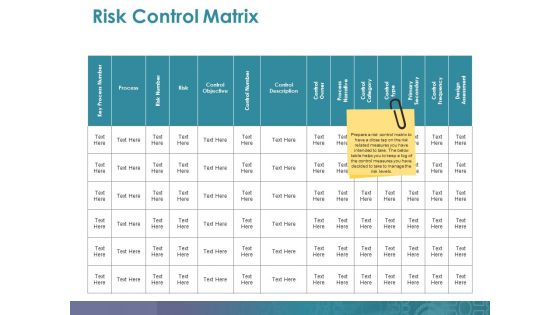 Risk Control Matrix Ppt PowerPoint Presentation Layouts Shapes