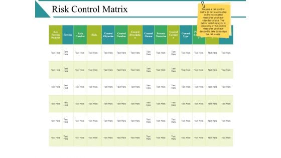 Risk Control Matrix Ppt PowerPoint Presentation Slides Introduction
