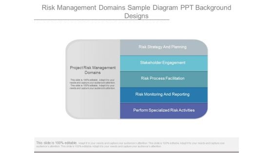 Risk Management Domains Sample Diagram Ppt Background Designs