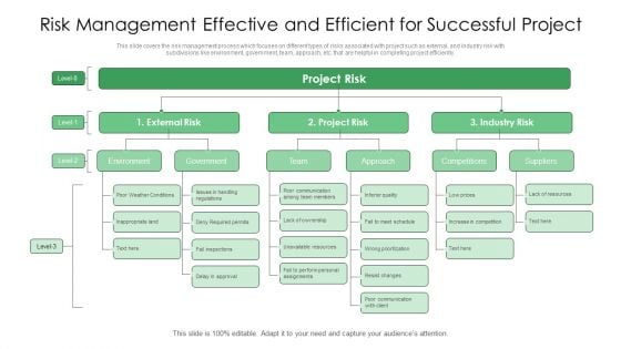 Risk Management Effective And Efficient For Successful Project Ppt PowerPoint Presentation File Slideshow PDF