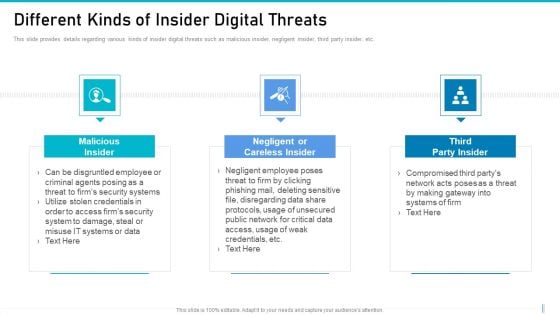 Risk Management For Organization Essential Assets Different Kinds Of Insider Digital Threats Summary PDF