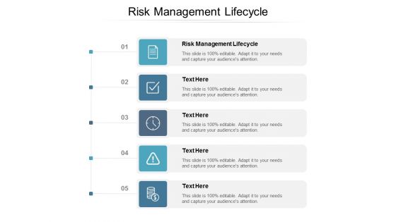 Risk Management Lifecycle Ppt PowerPoint Presentation Show Maker Cpb