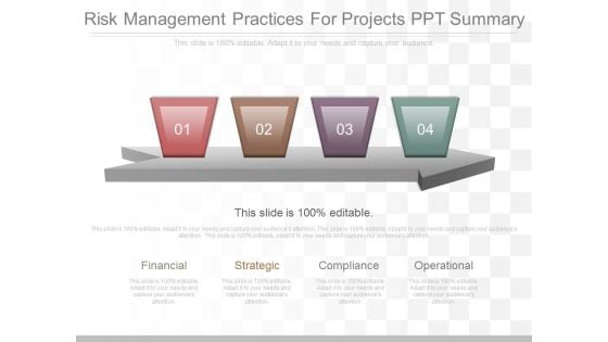 Risk Management Practices For Projects Ppt Summary