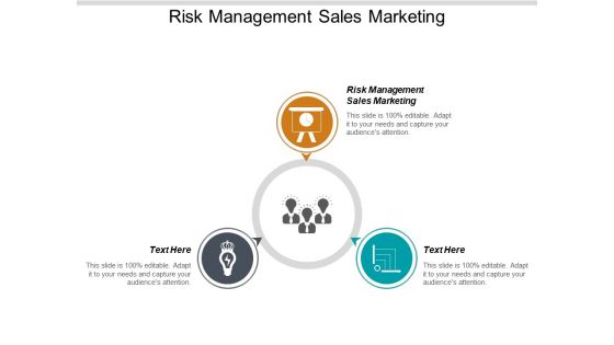 Risk Management Sales Marketing Ppt PowerPoint Presentation File Portfolio Cpb