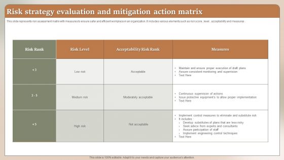 Risk Strategy Evaluation And Mitigation Action Matrix Ppt Styles Demonstration PDF