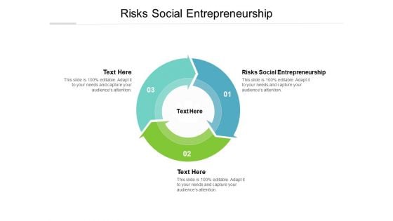 Risks Social Entrepreneurship Ppt PowerPoint Presentation Styles Shapes Cpb