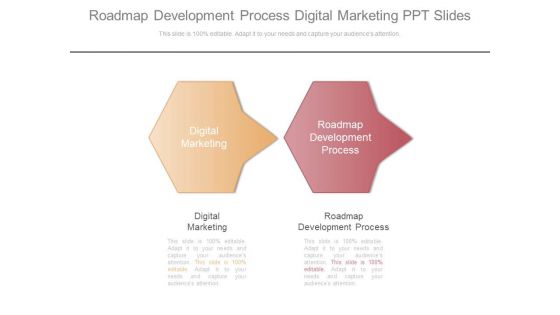 Roadmap Development Process Digital Marketing Ppt Slides