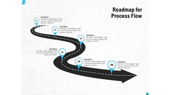 Roadmap For Process Flow Ppt PowerPoint Presentation Portfolio Microsoft