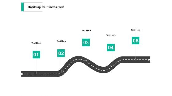 Roadmap For Process Flow Ppt PowerPoint Presentation Show Examples