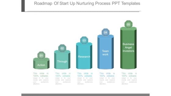 Roadmap Of Start Up Nurturing Process Ppt Templates