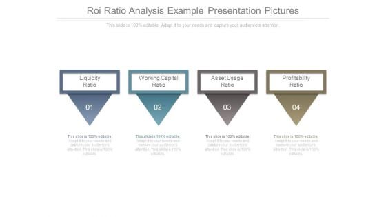 Roi Ratio Analysis Example Presentation Pictures