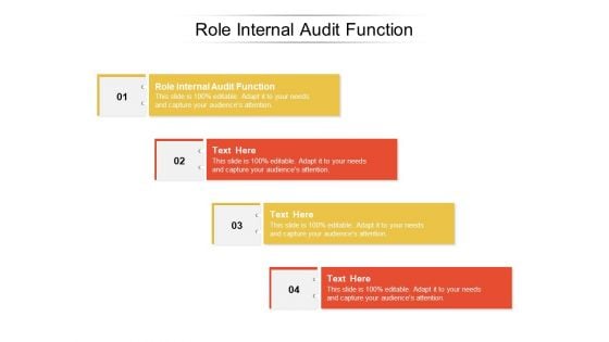 Role Internal Audit Function Ppt PowerPoint Presentation Show Portrait Cpb