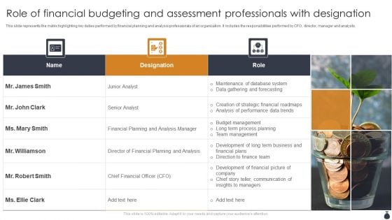 Role Of Financial Budgeting And Assessment Professionals With Designation Sample PDF