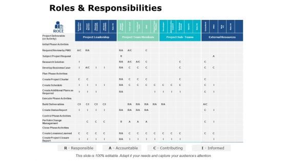 Roles And Responsibilities Ppt PowerPoint Presentation Pictures Background Image