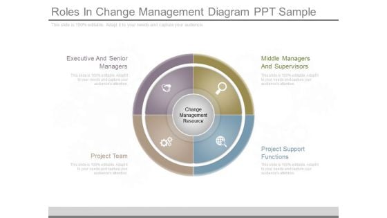 Roles In Change Management Diagram Ppt Sample