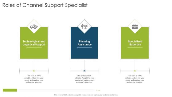 Roles Of Channel Support Specialist Organizational Strategies And Promotion Techniques Ideas PDF