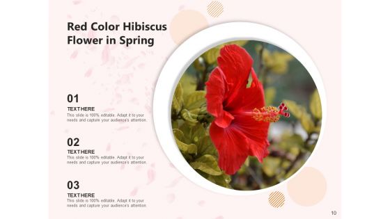 Rose Mallow Inspection Hibiscus Flower Ppt PowerPoint Presentation Complete Deck