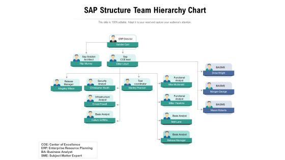 SAP Structure Team Hierarchy Chart Ppt PowerPoint Presentation File Examples PDF