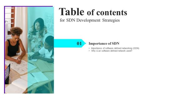 SDN Development Strategies Table Of Contents Ppt Model Tips PDF