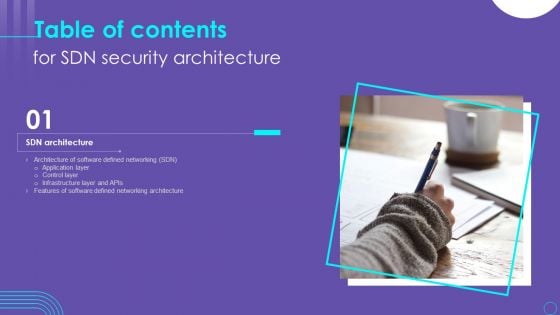 SDN Security Architecture Table Of Contents Ppt PowerPoint Presentation File Example PDF
