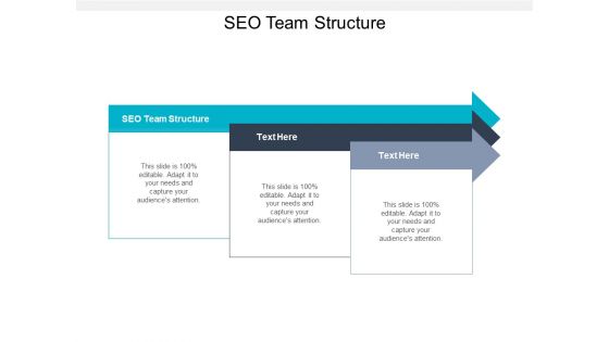 SEO Team Structure Ppt PowerPoint Presentation Show Layouts Cpb