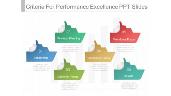 Criteria For Performance Excellence Ppt Slides