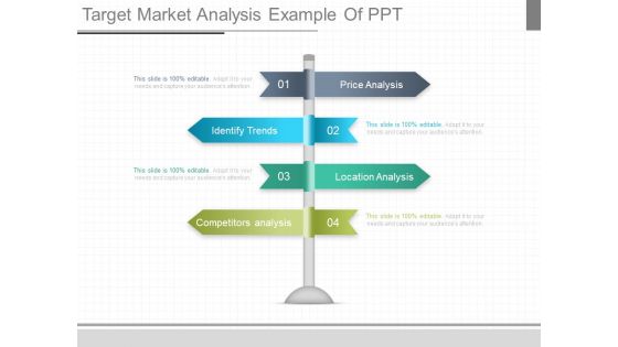 Target Market Analysis Example Of Ppt