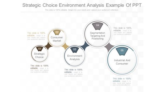 Strategic Choice Environment Analysis Example Of Ppt