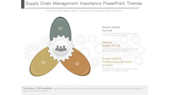 Supply Chain Management Importance Powerpoint Themes