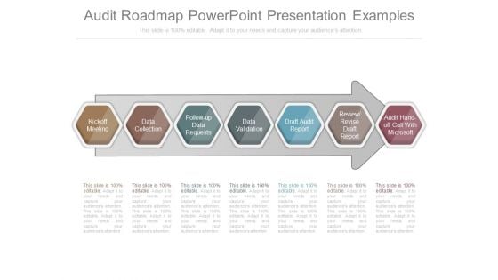 Audit Roadmap Powerpoint Presentation Examples