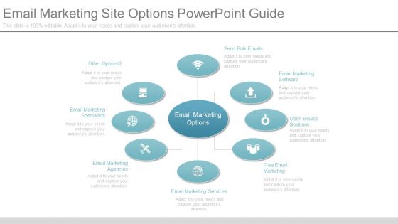 Email Marketing Site Options Ppt Powerpoint Guide