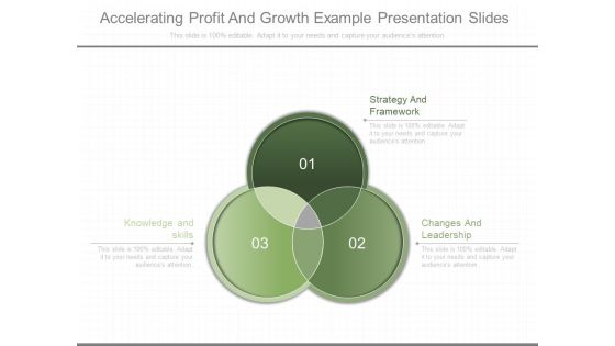 Accelerating Profit And Growth Example Presentation Slides