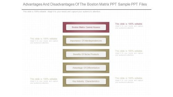 Advantages And Disadvantages Of The Boston Matrix Ppt Sample Ppt Files