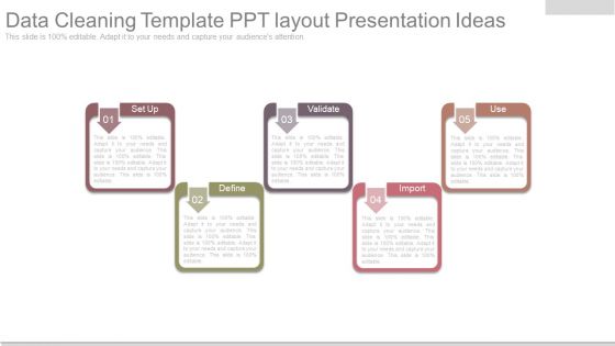 Data Cleaning Template Ppt Layout Presentation Ideas