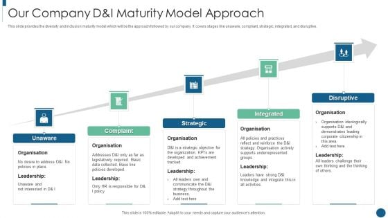 Developing Inclusive And Diversified Our Company D And I Maturity Model Approach Structure PDF
