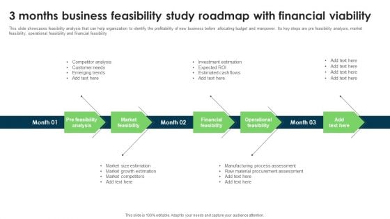 3 Months Business Feasibility Study Roadmap With Financial Viability Infographics PDF