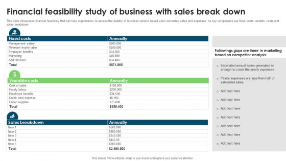 Financial Feasibility Study Of Business With Sales Break Down Information PDF