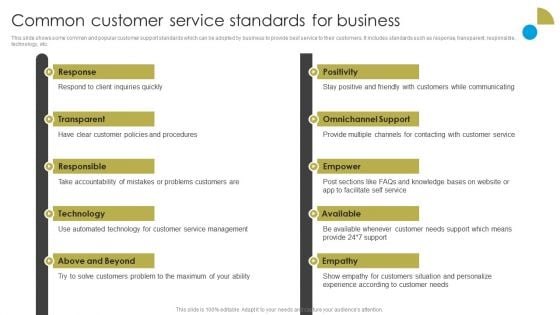 Service Strategy Guide To Maximize Customer Experience Common Customer Service Standards For Business Microsoft PDF