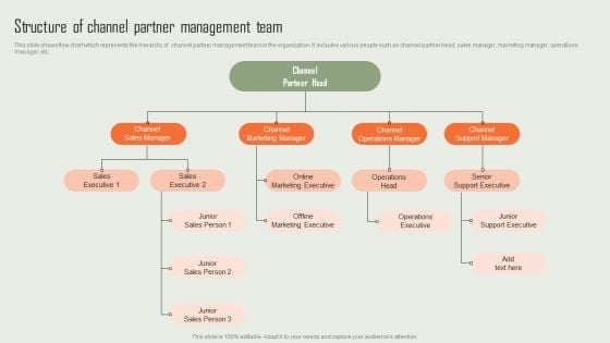 Product Marketing And Sales Expansion Through Channel Structure Of Channel Partner Management Team Structure PDF