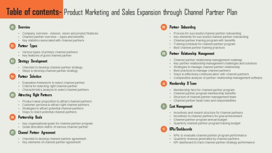 Table Of Contents Product Marketing And Sales Expansion Through Channel Partner Plan Information PDF