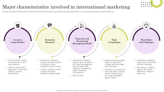 Major Characteristics Involved In International Marketing Structure PDF