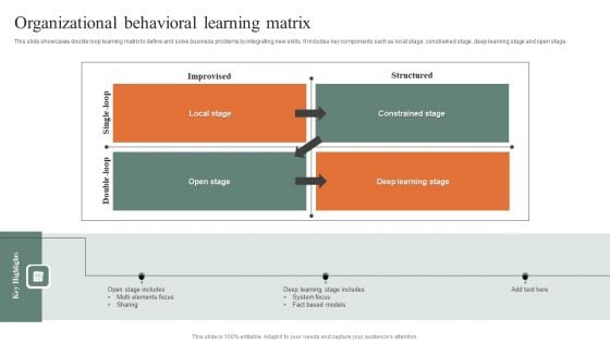Organizational Behavioral Learning Matrix Pictures PDF