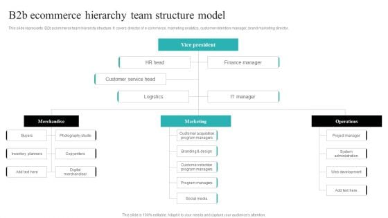 Strategic Ecommerce Plan For B2B Enterprises B2b Ecommerce Hierarchy Team Structure Model Sample PDF