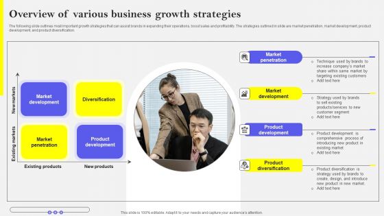 Overview Of Various Business Growth Strategies Topics PDF