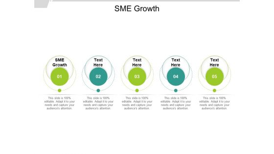 SME Growth Ppt PowerPoint Presentation Slides Elements Cpb