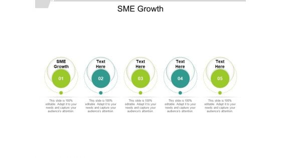 SME Growth Ppt PowerPoint Presentation Slides Elements Cpb