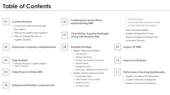 SRM Strategy Table Of Contents Demonstration PDF