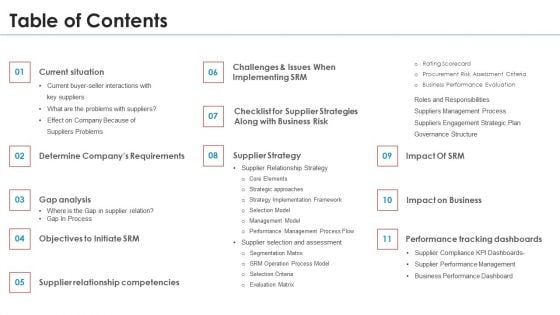 SRM Strategy Table Of Contents Demonstration PDF