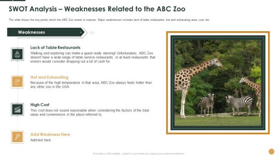 SWOT Analysis Weaknesses Related To The ABC Zoo Ppt Show Graphics Pictures PDF